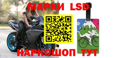ГАЛЛЮЦИНОГЕННЫЕ ГРИБЫ Кинель