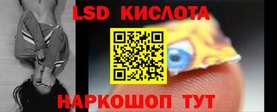 стафф Кингисепп