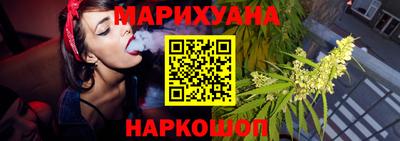стафф Кингисепп
