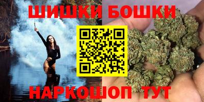 стафф Кингисепп