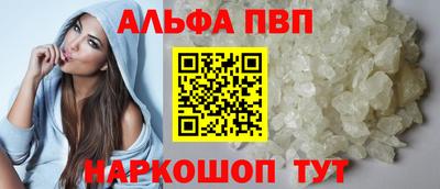 стафф Кингисепп