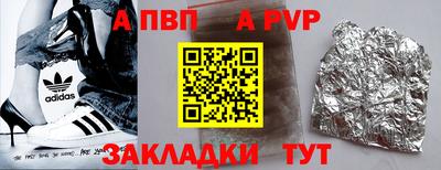 стафф Кингисепп