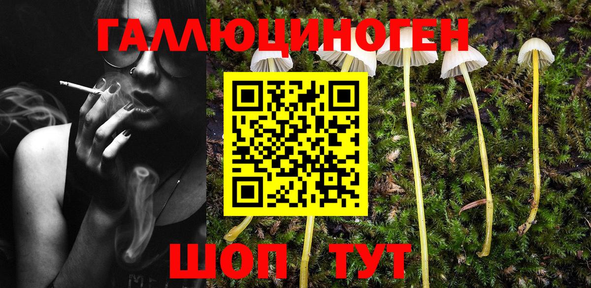 Псилоцибиновые грибы мицелий Корсаков
