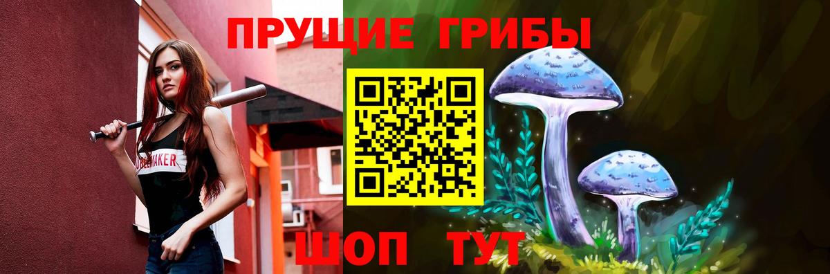 Галлюциногенные грибы Magic Shrooms  закладка  Корсаков  Вход с VPN 